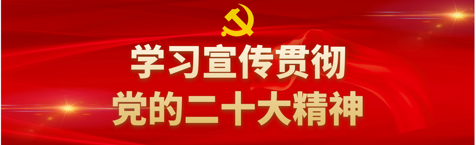 黨的二十大 黨的二十大